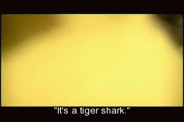 ... , shark, a what, what, tiger shark, funny, movie quote, quote, jaws