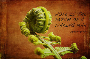 Aristotle Quote Photograph