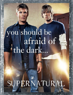 Supernatural Quote Shirt ALL SIZES by WillsTshirts on Etsy, $14.99