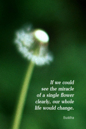 Found on empoweringquotes.blogspot.com