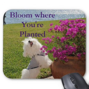 Bible Verse : Bloom where You Are Planted Mouse Pad
