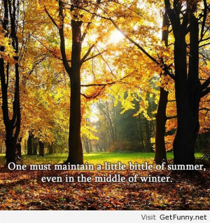 ... , funny quotes, humor, funny winter, winter 2013, funny new year 2014