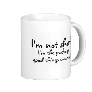 Im Not Short Im The Package Good Things Come In Mug