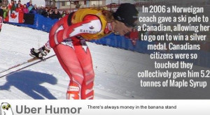 Profesional victimhood