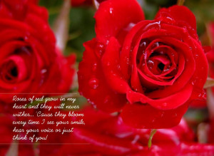 Good Morning Red Roses With Quotes (12)