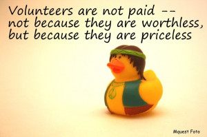 Our Volunteers are priceless!