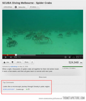Funny photos funny crabs swimming underwater sea