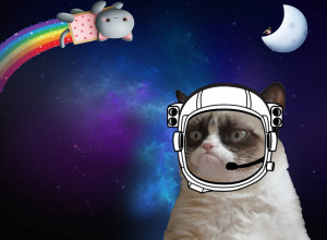 Space From Grumpy Cat Quotes Funny 1920 X 1200 182 Kb Jpeg