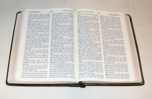 Importance of Word of God for Vocations - Verbum Domini