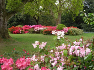 spring gardens | Head Gardener's Comment