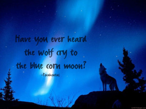 Wolf Howls, Trav'Lin Lights, Blue, Beautiful, Northern Lights, Aurora ...