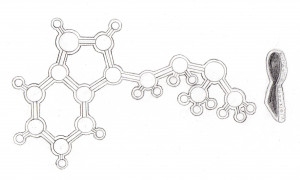 Joe Rogan Quotes Dmt