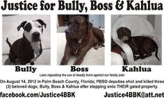 Beach County, Florida, Deputies shot and killed three (3) beloved dogs ...