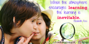 ... am anticipating great things for our 2015-2016 homeschool year