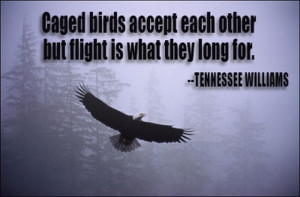 Caged birds accept each other