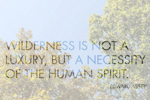 ... is not a luxury, but a necessity of the human spirit. (Edward Abbey