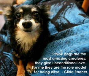 Best Dog Image Quotes And Sayings