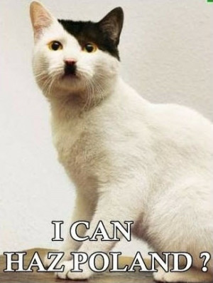 Hitler Cat - I Can Haz Poland?