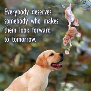 everybody deserves somebody who makes them look forward to tomorrow.