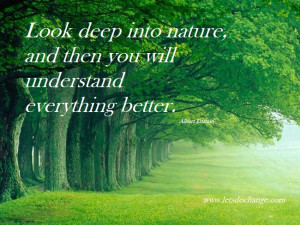 ... Nature, And Then You Will Understand Everything Better - Nature Quote