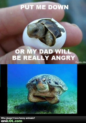 You don't want to see my dad when he gets angry