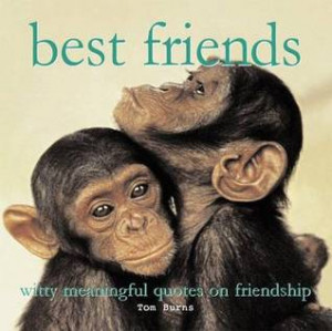 ... Friends: Witty Meaningful Quotes On Friendship” as Want to Read