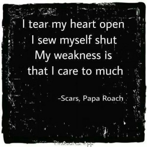 Scars ~ Papa Roach