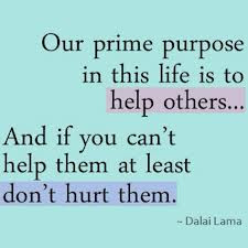 Our Prime Purpose In This Life Is To Help Others,And If You Can’t ...