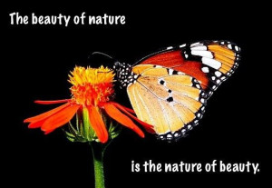 Nature beauty quote
