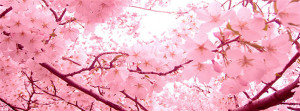 Pink-Nature-Theme-FB-Cover