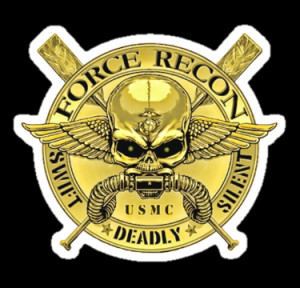 Force Recon (Gold) by Walter Colvin