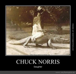 funny-picture-chuck-norris-daughter.jpg