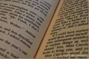 To Kill a Mockingbird High School Literature