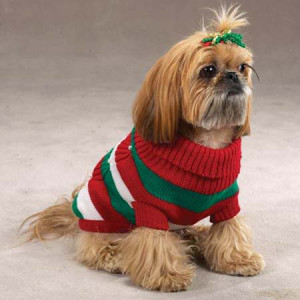 Dogs In Ugly Holiday Sweaters