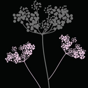 Funny Quotes Contact Dmca...