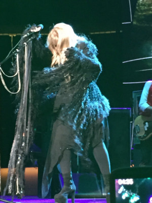 stevie nicks rhiannon