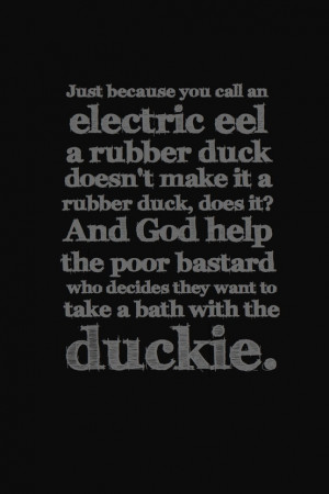 you call an electric eel a rubber duck doesn't make it a rubber duck ...