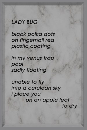 ST Ladybug Ladybug Poetry