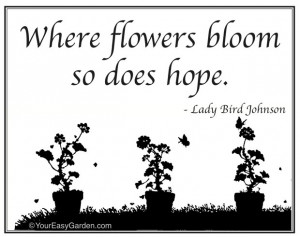 Lady Bird Johnson Garden Quotes