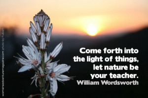 Come forth into the light of things - Nature Quote.