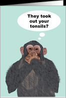 Chimpanzee Hand Over Mouth, Tonsils Removed, Get Better Card - Product ...