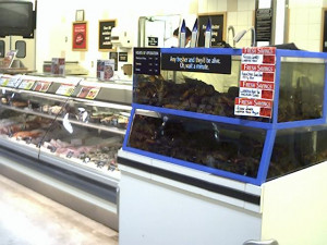 VeggieBoards > Animal Rights Community > Animal Rights and Welfare ...