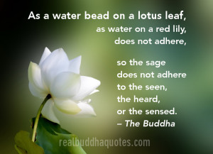 Leave a Reply Cancel reply