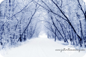 ... perfect winter tale of a quintessential little Winter Wonderland