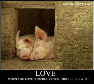 Love pigs