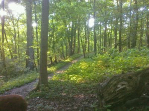 follow your path, Lord—even around unseen turns.”