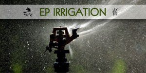 YOU ARE HERE: Garden Irrigation in Port Elizabeth