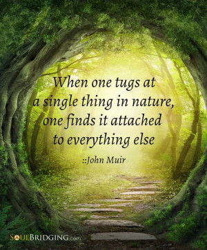 ... quotes #nature: Photos, Nature, Soulbridg Quote, Natural Medicine