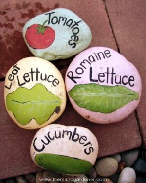 Veggie rock garden markers | The Micro Gardener