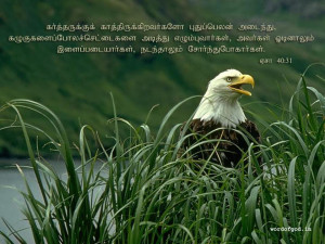 Labels: Tamil Bible Quotes , Tamil Bible Verse Wallpapers